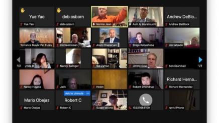Screen capture of meeting participants