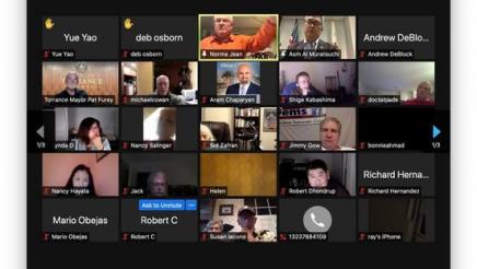 Screen capture of meeting participants