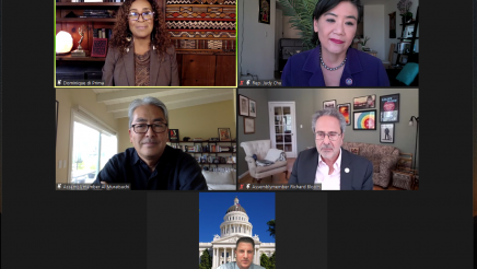 Virtual meeting participants