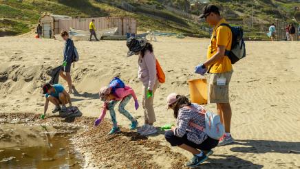 Multiple volunteers picking debris from the sand