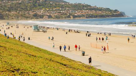 Wide view of volunteers cleaning the beach
