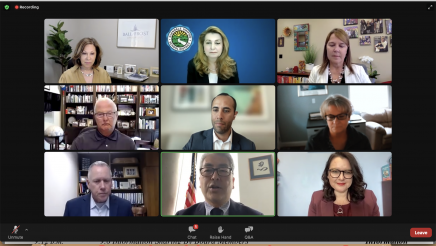 Participants in Zoom meeting
