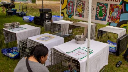 Constituent visiting dog in crate