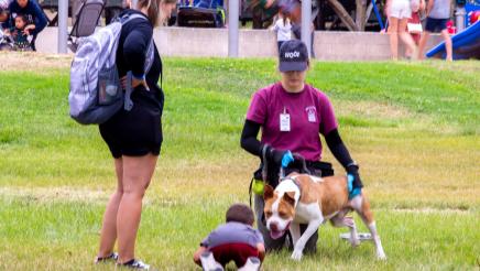 Child playing with dog being held by staffer