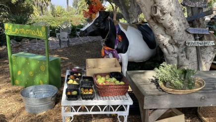 Tables containing food and plants, with tree, cow statue and lemonade stand in the background