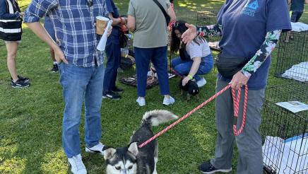 Asm. Muratsuchi conversing with LA Animal Services staffer, with dog on leash