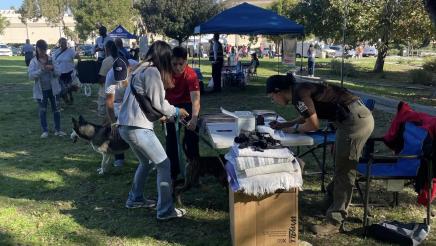 Constituents with dogs being helped by resource staffer at table