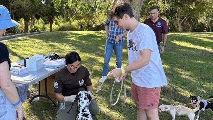Constituent's dog being examined by resource staffer