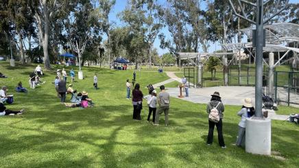Atrtendees sitting and standing on grassy hill