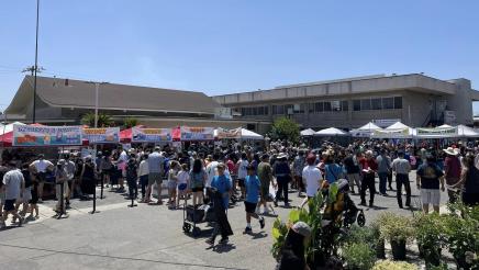 Festival attendees with buildings in background