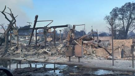 Multiple burnt buildings and charred trees